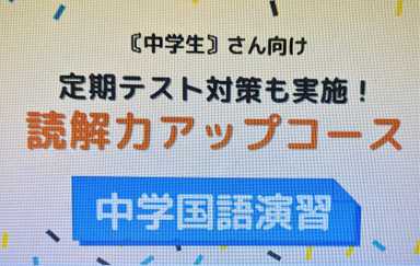 経験１８年の元国語教員が教える中学国語読解演習（試験対策可）
