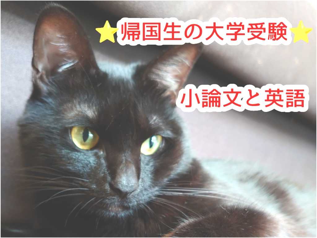 ⭐帰国生の大学受験 ⭐ 小論文と英語