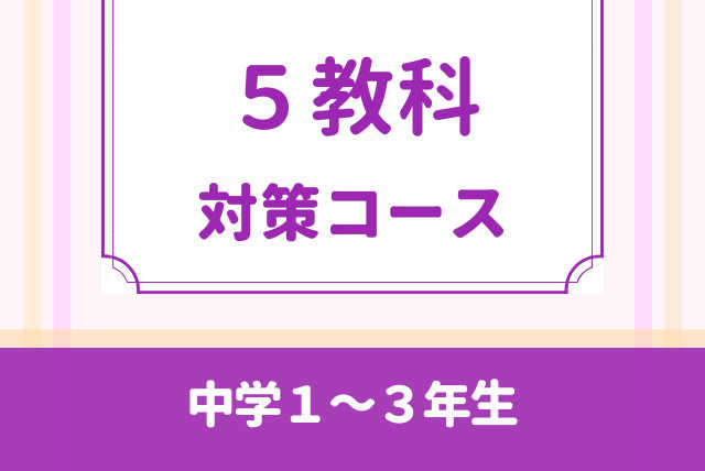 【学習塾教室長が指導】中学定期テスト全科目対策！【残り１名】