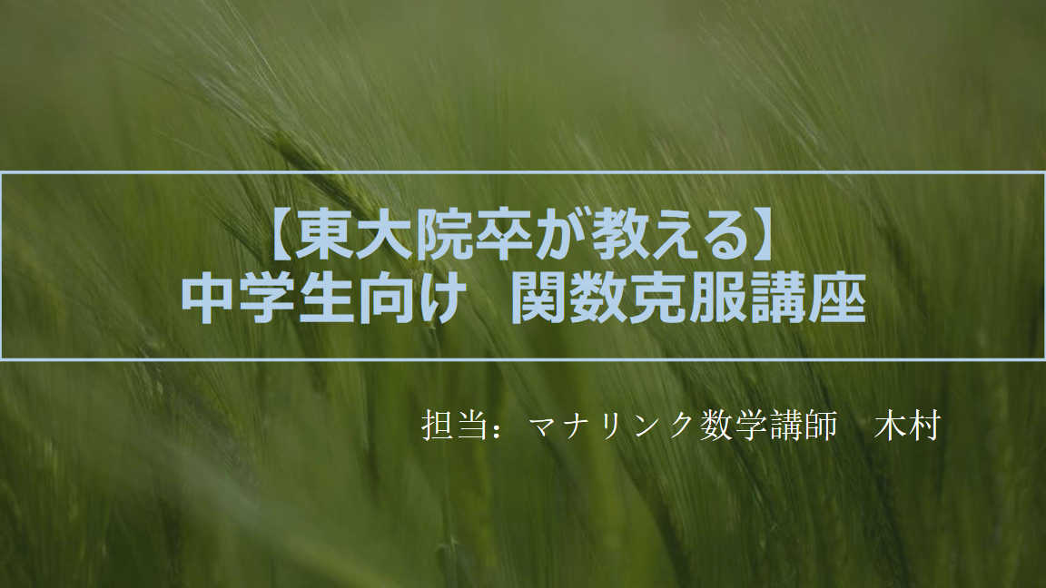 【東大院卒が教える】手遅れにならないうちに！関数完全攻略