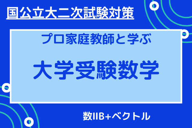 【国公立大二次試験対策】数ⅡB+ベクトル応用力養成コース