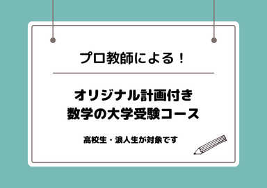 【プロ講師】合格多数！受験までのオリジナル計画付き物理コース