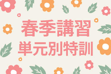 【予習／苦手克服】数学の単元別集中特訓コース(全8回)