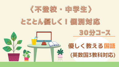 【不登校・中学生】とことん優しく！個別授業30分・国語編