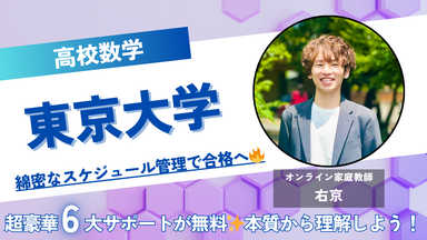 【東大数学】文系・理系どちらもOK🙆丁寧な過去問解説📝