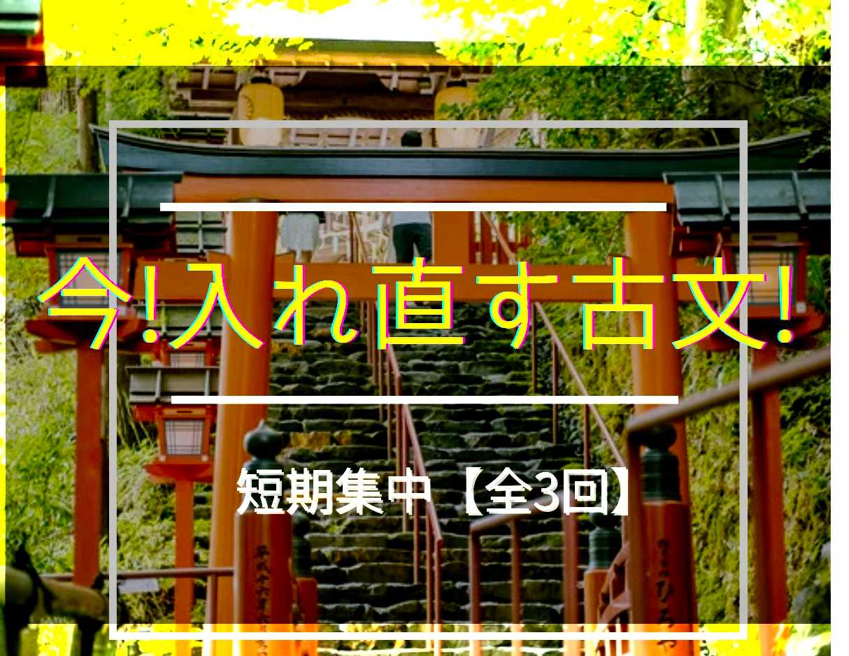 短期集中【全3回】今!入れ直す!古文