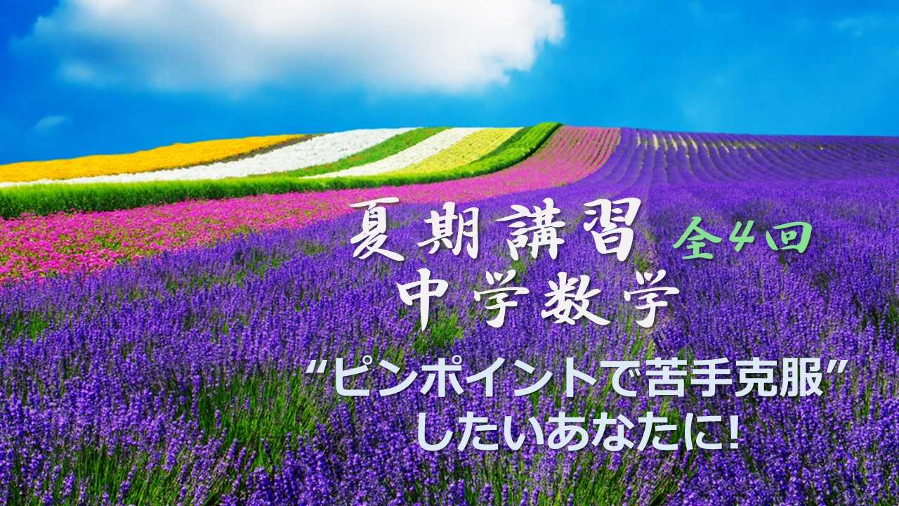 【夏期講習】中学数学 苦手をピンポイント対策！（全4回）