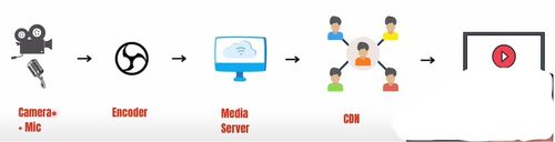 Live Streaming Process