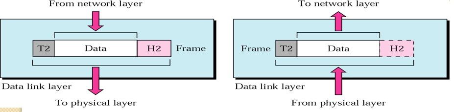 Data Link Layer