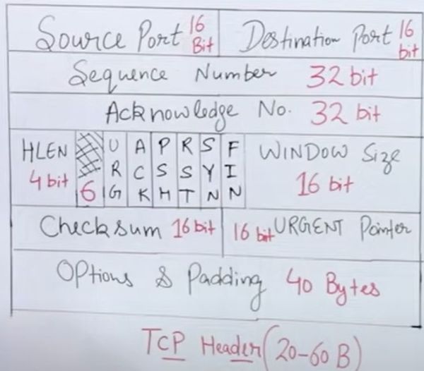 TCP Header