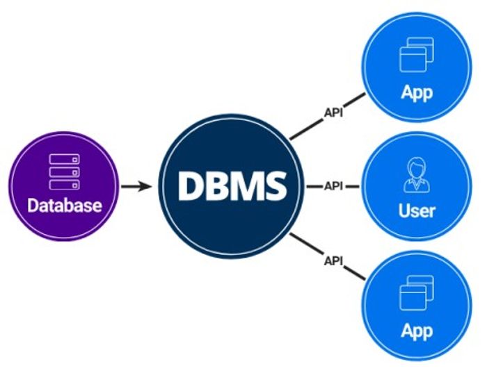 DBMS