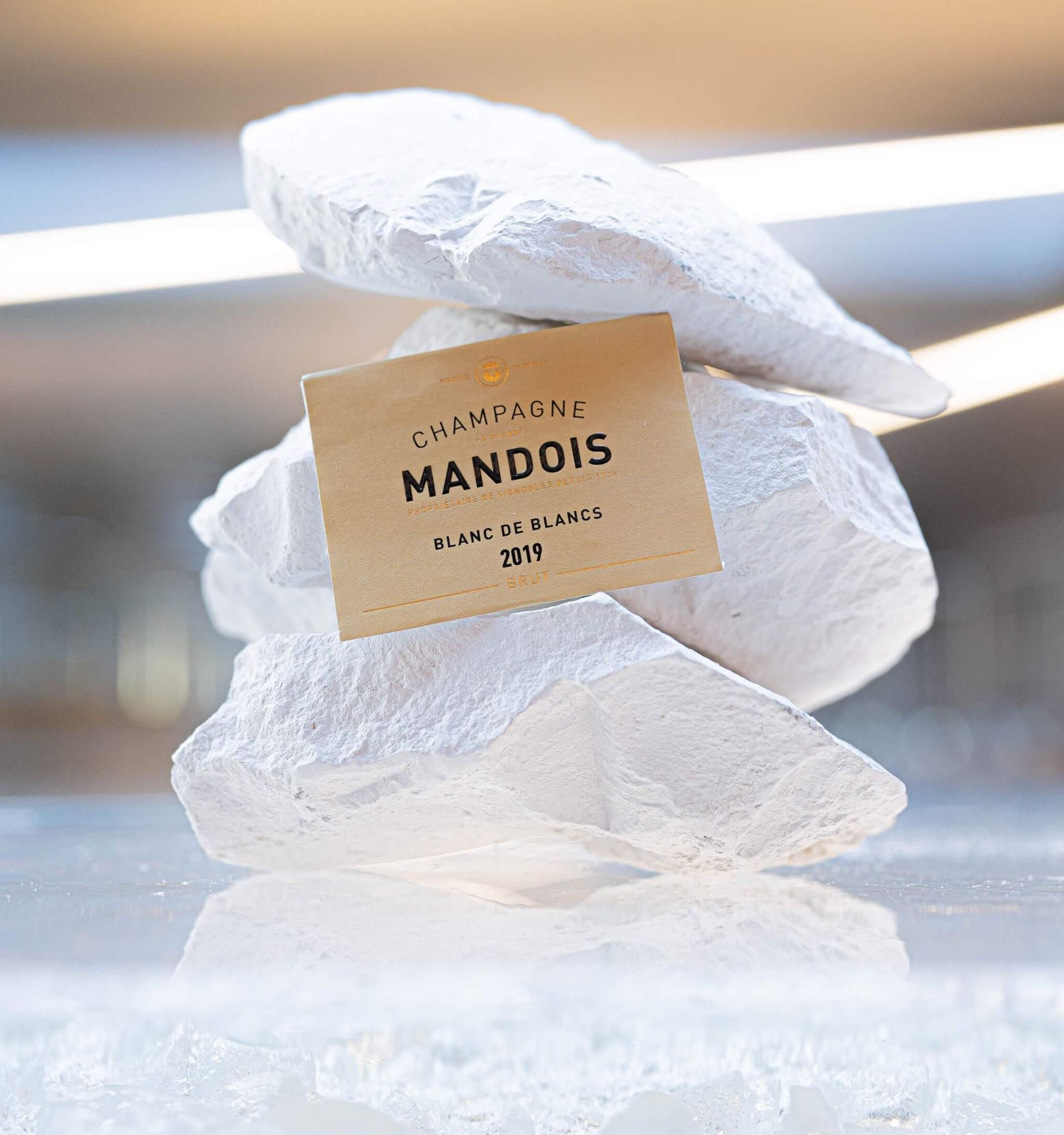 Le chardonnay - Champagne Mandois