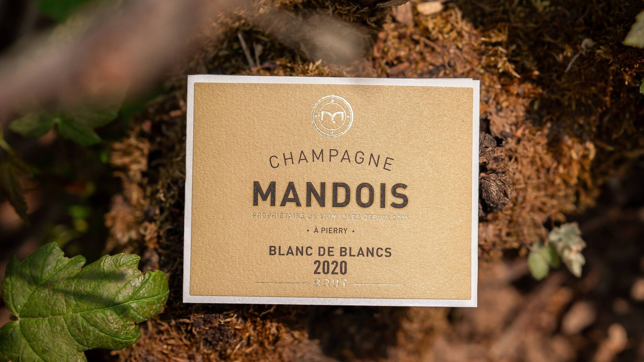 Champagne Mandois - Champagne Mandois