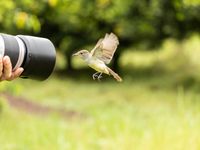 Even lachen naar het vogeltje! © STARLING reizen