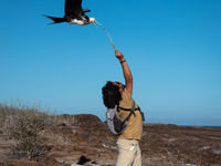 Mensenschuw zijn de dieren hier allerminst! © Yves Adams