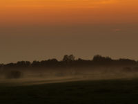 Une matinée brumeuse dans le paysage lituanien. © Sabine Ongenae