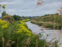 Un canal aux berges richement fleuries. © Sabine Ongenae