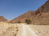 Promenade dans un wadi des montagnes d'Eilat