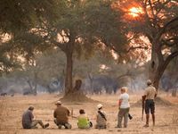 De reis van mijn leven! Mana Pools (Okt). Jullie vragen het meest onmogelijke ... het mooiste, tofste, zotste, grootste moment te beschrijven! Wel om eerlijk te zijn heb ik die momenten iedere dag mogen beleven mede door Carole Deschuymere! Wie kan zeggen dat er een olifant op twee meter voor je neus staat, je op de grond ligt op vijf meter van een wilde hond, je tussen twee leeuwen op de grond kan gaan liggen .... Deze reis kan je niet eens beschrijven op één blad! Zelfs de gevoelens niet ...! Je gaat van blij naar rust, naar adrenaline, naar krop in de keel, naar ... zoveel om op te noemen ... Eén moment ben ik wel HEEL ONGELUKKIG geweest ... de dag terug naar huis! WIL TERUUUUG!! Nogmaals dank aan STARLING en Carole Deschuymere en medereizigers voor de reis van mijn leven te bezorgen!!! © Birgen Ryckebosch