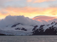 South Georgia gehuld in gouden wolken. © Julien Herremans