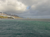 South Georgia. © Julien Herremans