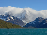 South Georgia. © Julien Herremans