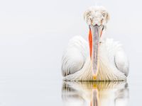 Wim De Baets: en een geweldige foto getrokken op die zelfde reis (m'n eigen mening natuurlijk). © Wim De Baets