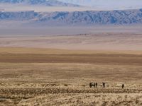 De groep poseert met zicht op het uitgestrekte landschap. © Geert Beckers