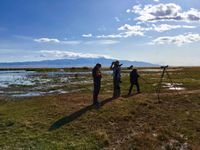 In droge regio's als dit zijn waterlichamen vaak een enorme aantrekkingspool voor vogels. © Geert Beckers