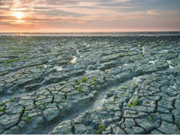 Het Lauwersmeer was vroeger een deel van de Waddenzee. © David 'Billy' Herman