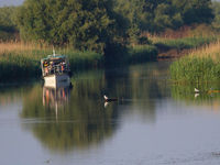 De Donaudelta in Roemenië is het grootste wetland van Europa. © Jan Wellekens