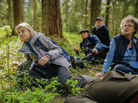 Dans l'est du pays, nous rencontrons de spectaculaires forêts. © Voyages STARLING