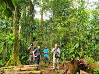 Immersion en pleine jungle ! © Noé Terorde