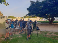 Notre groupe STARLING dans un parc urbain de la ville de Salalah. © Noé Terorde