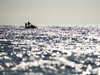 Een groep whale watchers ver op zee. © Billy Herman