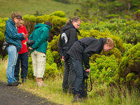 We hebben ook oog voor de talrijke plantjes. © Billy Herman