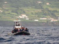 Een groep whale watchers. © Billy Herman