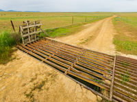 Veeroosters houden het vee binnen de rasters. De extensieve begrazing gaat hand in hand met de topnatuur die we vinden in de steppes. © Billy Herman