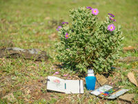 Aquarellen in het veld... © Billy Herman