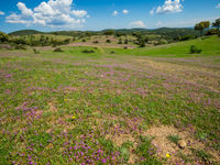 Een sfeerbeeld van het landschap in centraal Spanje. © Billy Herman