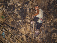 Un assistant de terrain local grimpe au plafond pour récolter le guano. © Billy Herman