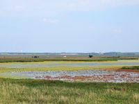 De plassen hier wemelen van de watervogels. © Jos Tuerlinckx