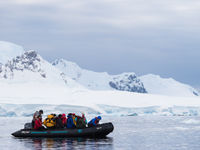 De zodiac vaart rond in Wilhelmina Bay. © Bart Heirweg