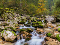 Sfeerbeeld herfstfotografie. © Bart Heirweg