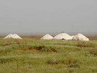 Een yurtenkamp in de steppe. © Guido Orbie