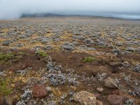 Sfeerbeeld van het Ethiopische hoogland. © Billy Herman