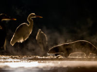 Een bende vissers, de één al hariger dan de ander... © Bence Máté