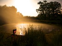 Een poel baadt in het warme ochtendlicht. © Frank Resseler