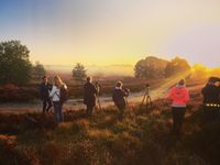 Deelnemers op de Kempense heide terwijl hun cameras de opkomende zon registreren. © Frank Resseler