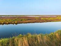 Een kleine rivier loopt door het zoutmoeras. © Jeffrey Van Daele